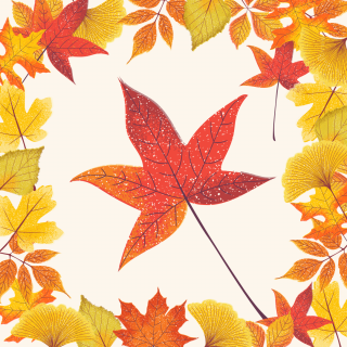 <img class='new_mark_img1' src='https://img.shop-pro.jp/img/new/icons1.gif' style='border:none;display:inline;margin:0px;padding:0px;width:auto;' />ե֥