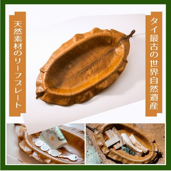 仺100ŷǺ५䥤꡼եץ졼Ȥμ̿