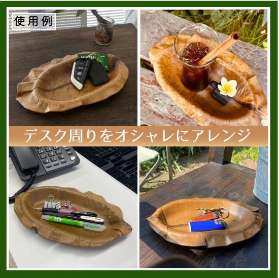 仺100ŷǺ५䥤꡼եץ졼Ȥμ̿