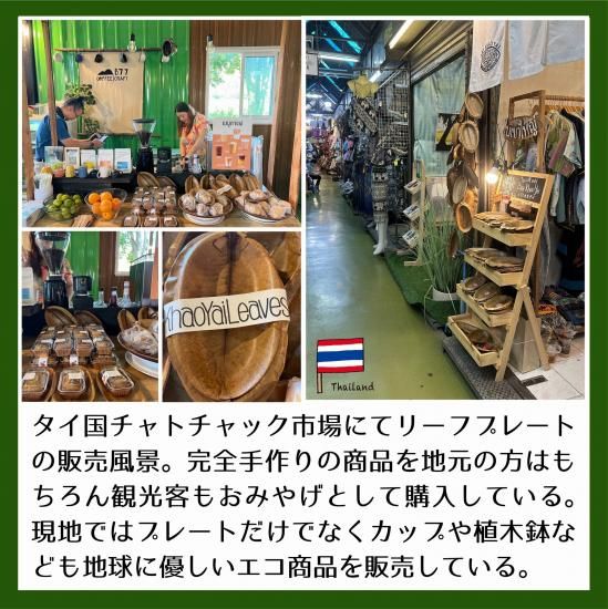 仺100ŷǺ५䥤꡼եץ졼 9ĥåȤμ̿