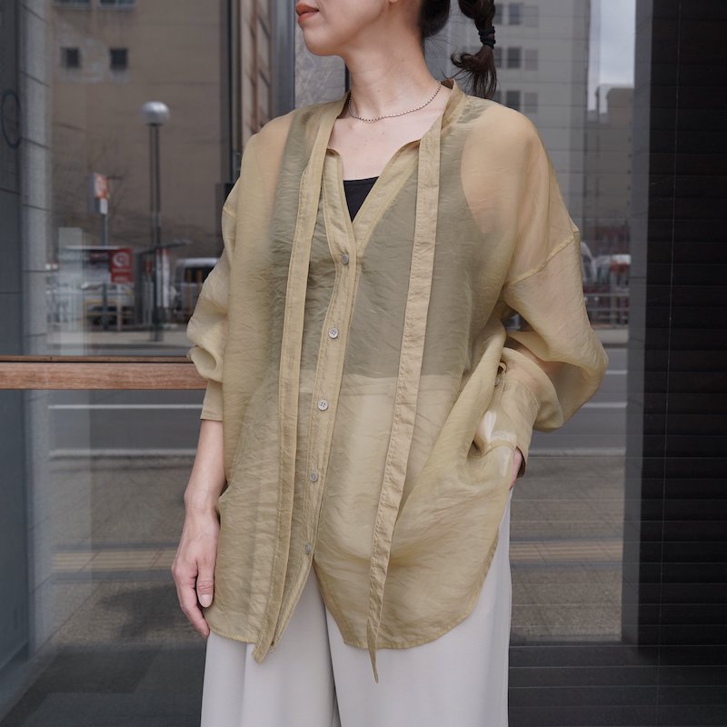 <img class='new_mark_img1' src='https://img.shop-pro.jp/img/new/icons6.gif' style='border:none;display:inline;margin:0px;padding:0px;width:auto;' /> [CLANE] クラネ W FACE SHEER SHIRT 14122-4042(KIWI)