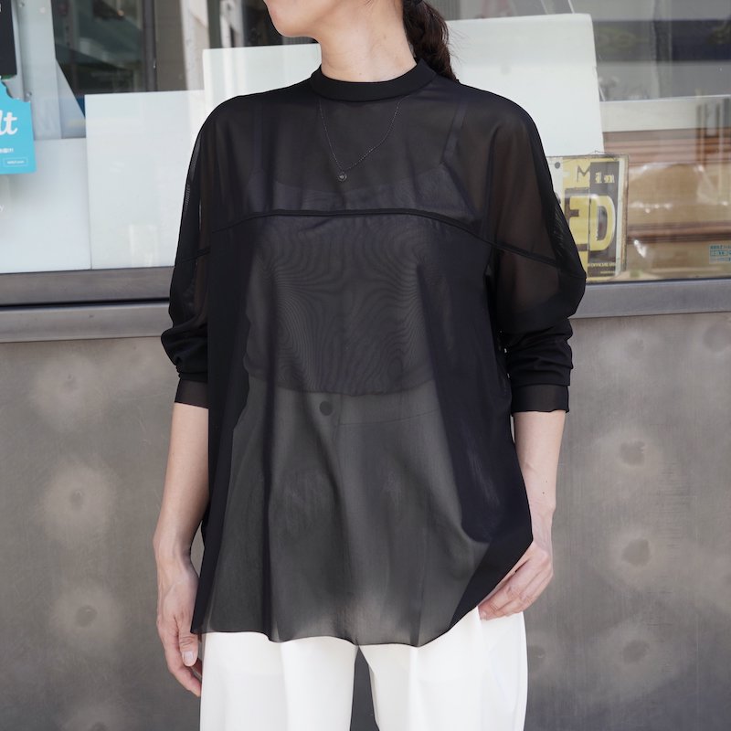 <img class='new_mark_img1' src='https://img.shop-pro.jp/img/new/icons6.gif' style='border:none;display:inline;margin:0px;padding:0px;width:auto;' /> [CLANE]  SHEER MESH CURVE SLEEVE TOPS(BLACK)