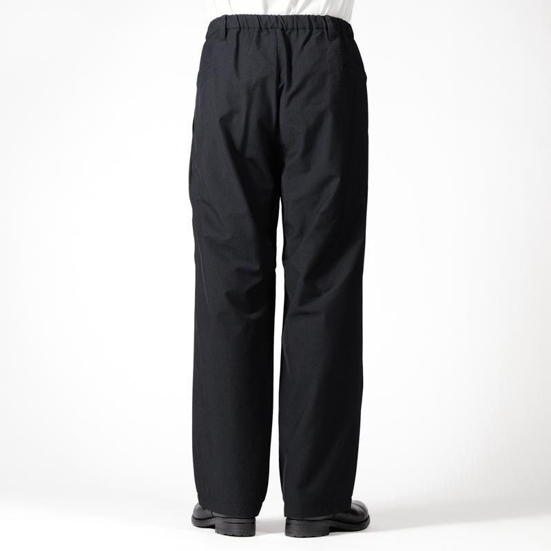 TEATORA] テアトラ Wallet Pants CITY -GHOST CODE- | INS ONLINE