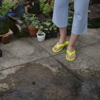 <img class='new_mark_img1' src='https://img.shop-pro.jp/img/new/icons20.gif' style='border:none;display:inline;margin:0px;padding:0px;width:auto;' />senseåѥġå20%off
