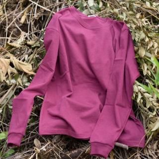 <img class='new_mark_img1' src='https://img.shop-pro.jp/img/new/icons6.gif' style='border:none;display:inline;margin:0px;padding:0px;width:auto;' />狼ä󥰥꡼Tġred leafʥܥɡ˸꿧