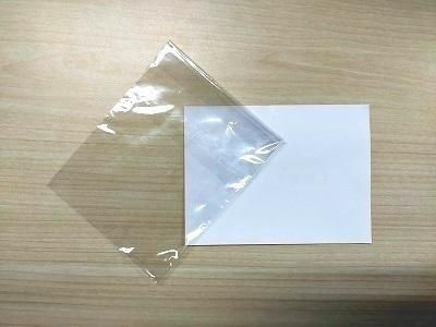 ե륫顼ǥ饷ˤǤޤΤǤΥ饷äƤߤƤϤǤ饷ϥƩޤƱǰƩޤ֤Ǽʤޤ