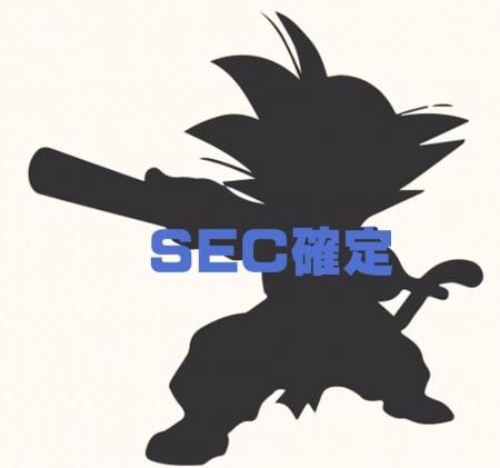 キラ30枚)SEC確定 すべてSR以上ドラゴンボールヒーローズ SDBH キラ30枚)SEC確定 すべてSR以上ドラゴンボールヒーローズ SDBH