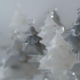 2025 ʴΥĥ꡼ / 졼M