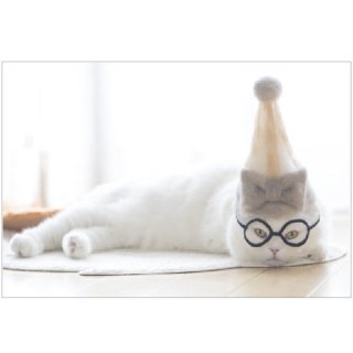 <img class='new_mark_img1' src='https://img.shop-pro.jp/img/new/icons16.gif' style='border:none;display:inline;margin:0px;padding:0px;width:auto;' />100% Cat hair ポストカード　PB-475