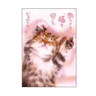ネコポストカード PB-334