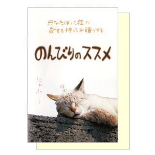 バースデー　絵本カード「日なたぼっこ猫　のんびりのススメ」GS-43