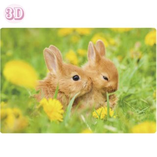 3Dポストカード【ウサギ】 B12-PP-47