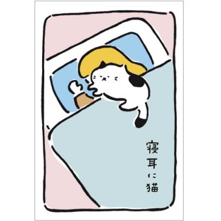 にゃんことわざポストカード【寝耳に猫】C03-PH-61