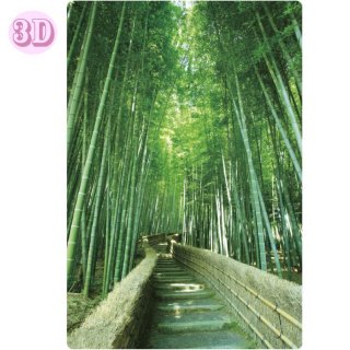 3Dポストカード【竹林の道】 C03-PP-55