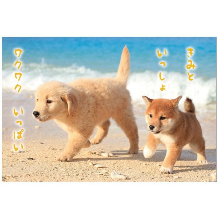夏柄イヌポストカード 柴犬 Pn 548s