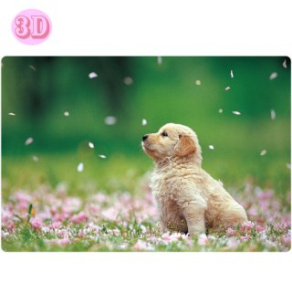 春柄3Dポストカード【子犬】 PP-58h