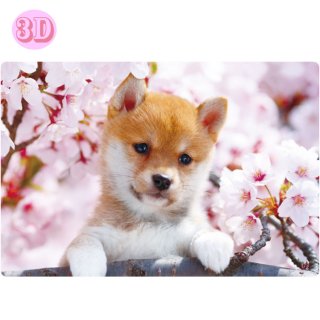 春柄3Dポストカード【柴犬】 PP-59h