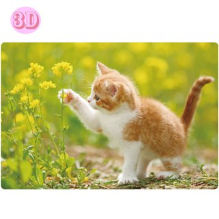春柄3Dポストカード 【子猫】 PP-62h