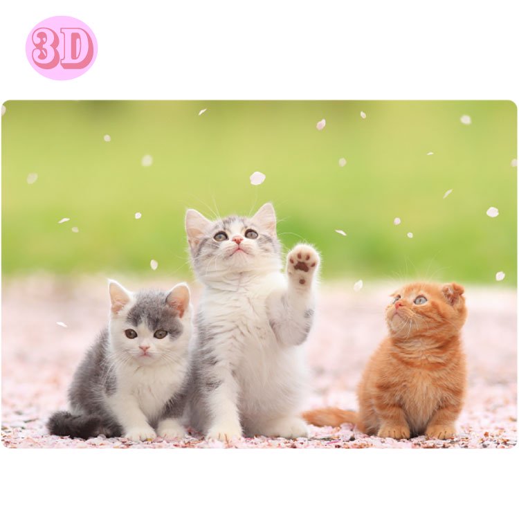 春柄3Dポストカード 【子猫】 PP-64h