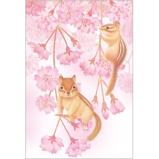 春柄小動物と桜ポストカード【シマリス】 PS-144h