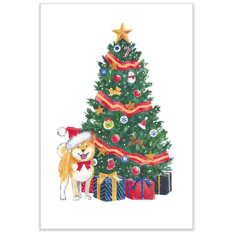 しばいぬとクリスマスポストカード ツリー Cmp 362 しばいぬとクリスマスポストカード ツリー Cmp 362