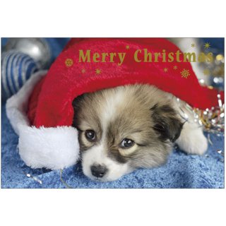 クリスマスポストカード　犬　CMP-342