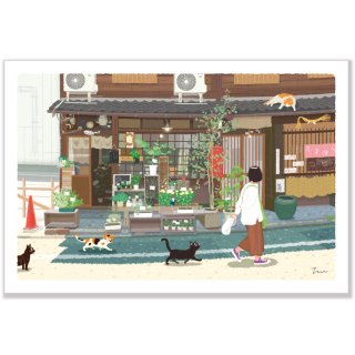 夏　たびねこポストカード【京都の花屋】　PF-251s