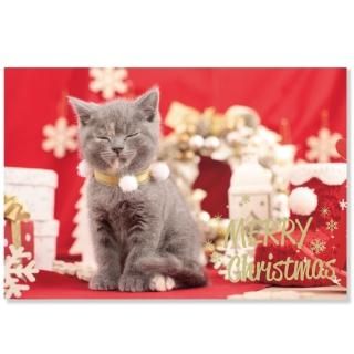 『タイムセール』クリスマス☆猫ちゃん 半額】クリスマスネコポストカード CMP-374