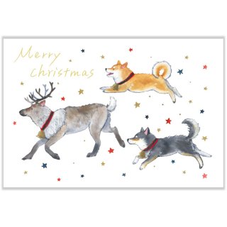 しばいぬとクリスマスポストカード【トナカイ】CMP-365