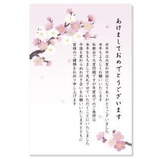 年賀状じまいはがき（3枚入）【富士山】 KE-59