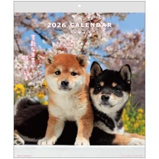 かわいい柴犬のカレンダーなどの通販 | アクティブ コーポレーション