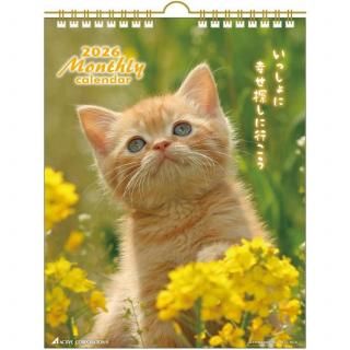 ãԥޥ󥹥꡼26ACL-06