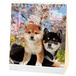 かわいい柴犬のカレンダーなどの通販 | アクティブ