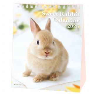 ӣң26ACL-571