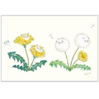 �ա��ȥ������८�ݥ��ȥ����ɡ�����ݤݡ�PPA-277h