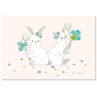 �ա��ȥ������८�ݥ��ȥ����ɡ��������ȥ������С���PPA-279h