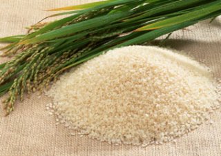 広島県　コシヒカリ(特別栽培米）玄米5kg