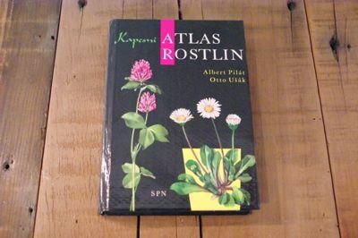 チェコ 植物図鑑 ボタニカルアート 植物画集 ヴィンテージ Atlas Rostlin チェコ 植物図鑑 ボタニカルアート 植物画集 ヴィンテージ Atlas Rostlin