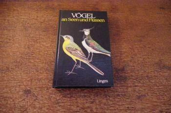 1907年]ドイツの古い鳥類図鑑(Vogelwelt)/アンティーク