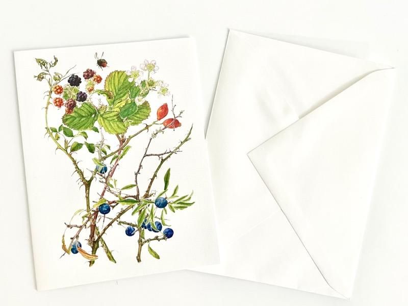ガラス封入絵（自然植物使用） スウェーデン 植物カード ボタニカルアート ベリー 植物画 北欧インテリア