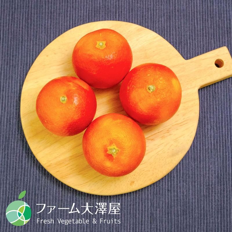 国産ブラッドオレンジ モロ 約1.5kg 15-17玉 みかん 赤秀 M 愛媛 国産ブラッドオレンジ モロ 約1.5kg 15-17玉 みかん 赤秀 M 愛媛