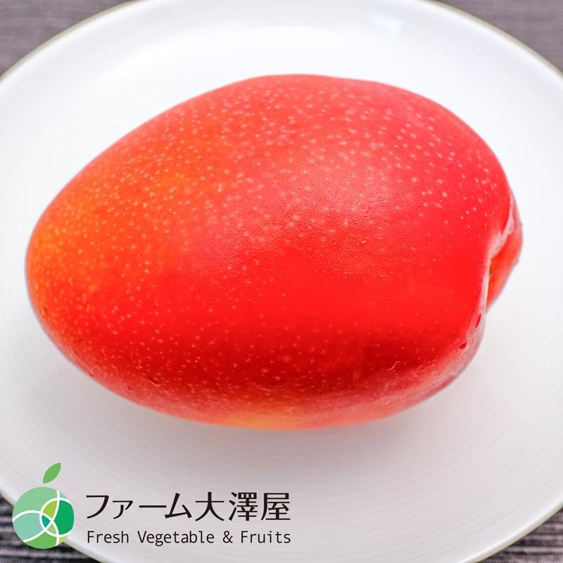 愛文マンゴー 台湾マンゴー 約2.4kg 6個 アップルマンゴー 愛文マンゴー 台湾マンゴー 約2.4kg 6個 アップルマンゴー
