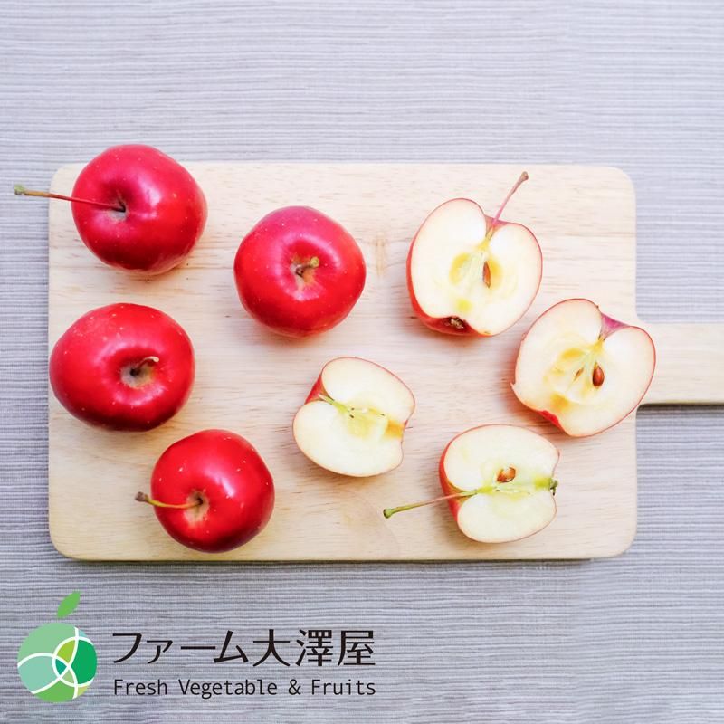 アルプス乙女 姫りんご 家庭用 約1kg 15-40玉 長野県産 調理用 アルプス乙女 姫りんご 家庭用 約1kg 15-40玉 長野県産 調理用