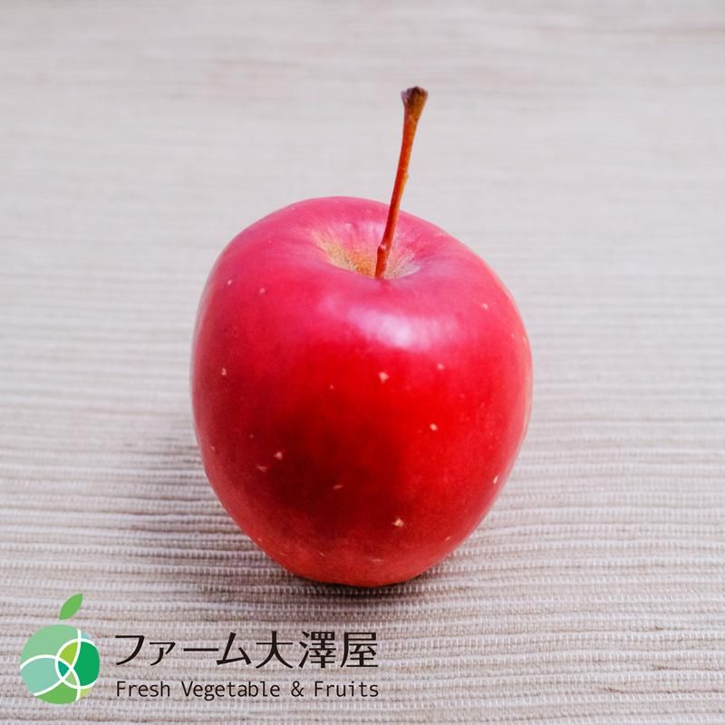 アルプス乙女 姫りんご 家庭用 約3kg 45-120玉 長野県産 調理用 アルプス乙女 姫りんご 家庭用 約3kg 45-120玉 長野県産 調理用