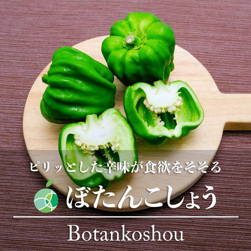 ܤ󤳤礦
