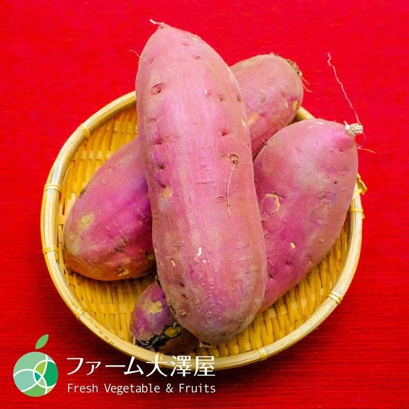 紅はるか さつまいも 約5kg 8本 茨城県産 甘藷 ギフト 贈り物 紅はるか さつまいも 約5kg 8本 茨城県産 甘藷 ギフト 贈り物