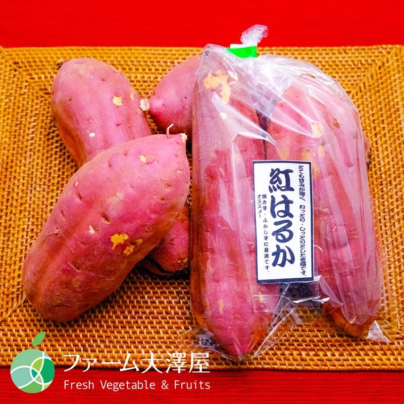 紅はるか さつまいも 約5kg 8本 茨城県産 甘藷 ギフト 贈り物 紅はるか さつまいも 約5kg 8本 茨城県産 甘藷 ギフト 贈り物