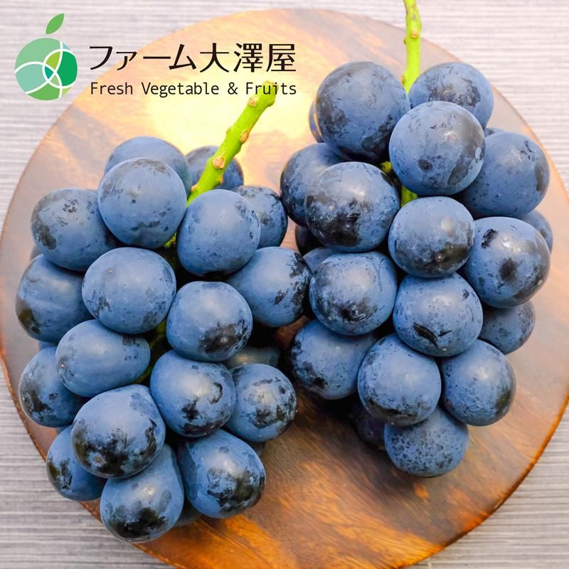 クイーンルージュ®︎の通販｜ぶどう｜食べチョク｜産地直送(産直
