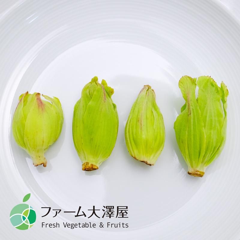 ふきのとう