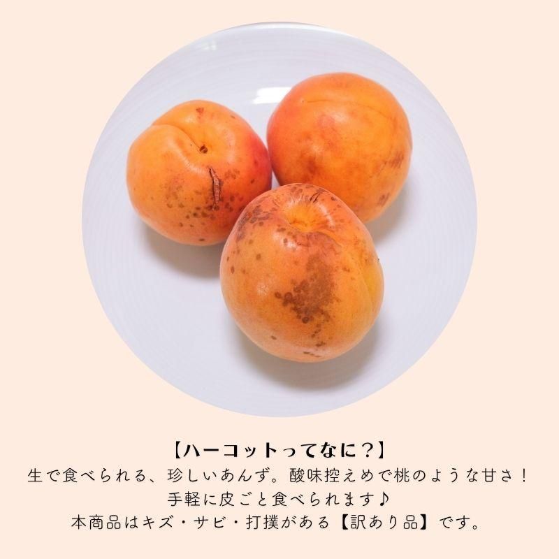 ѥϡå